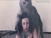 [ Zoophilia Hentai Sex Video ] Bestiality loving anime girl fucked by a canine